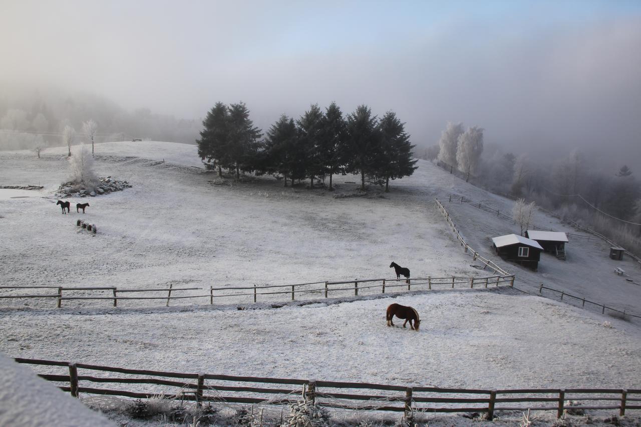 Domek Pod Bukami Szymbark  Esterno foto